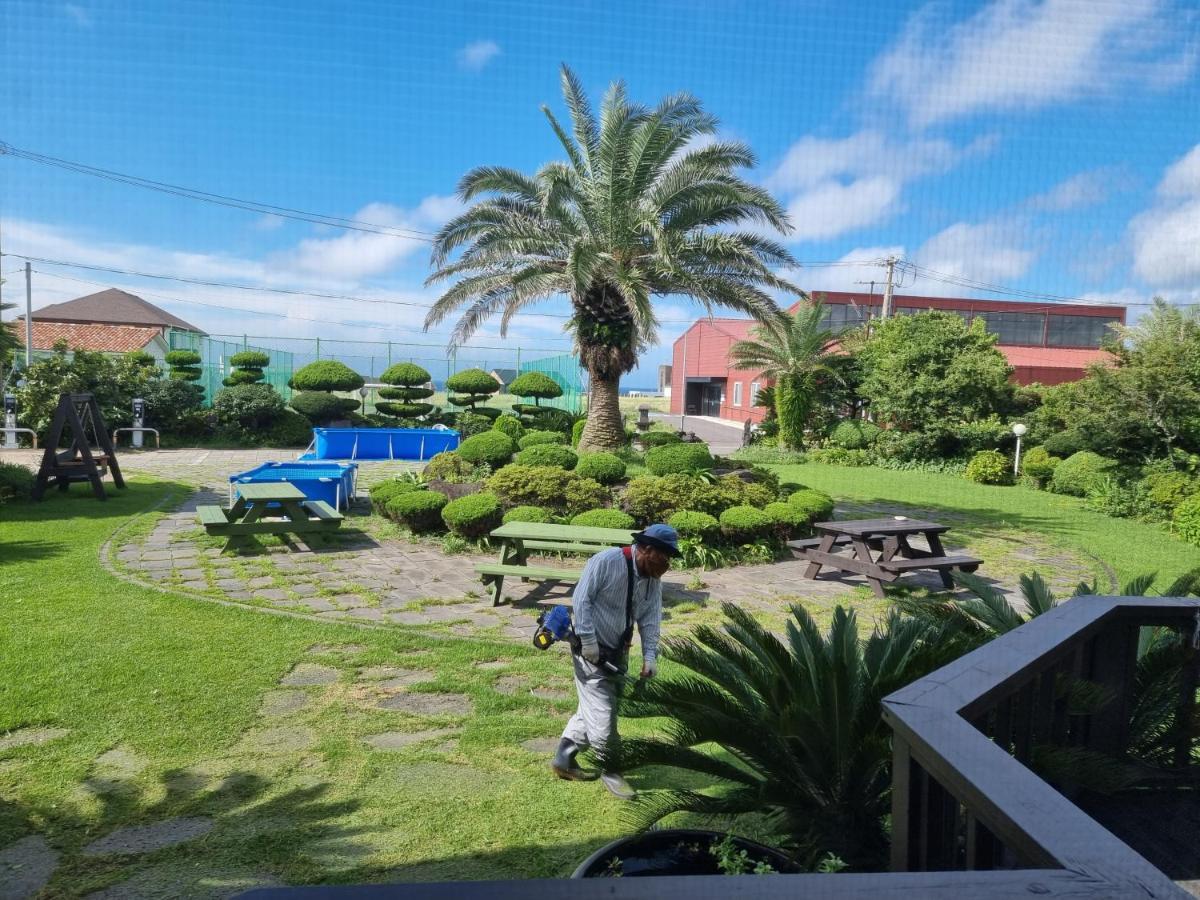 济州奥利度假屋 济州市 外观 照片