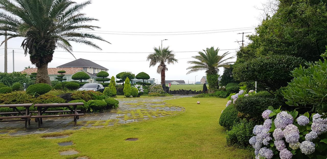 济州奥利度假屋 济州市 外观 照片